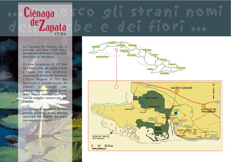 La Cienaga de Zapata - 2