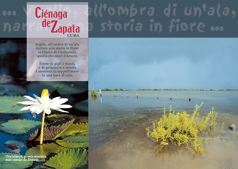 La Cienaga de Zapata - 4