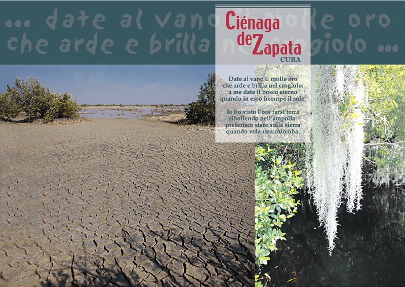 La Cienaga de Zapata - 5