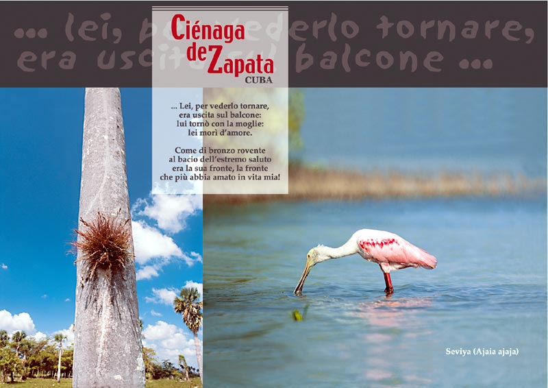 La Cienaga de Zapata - 6