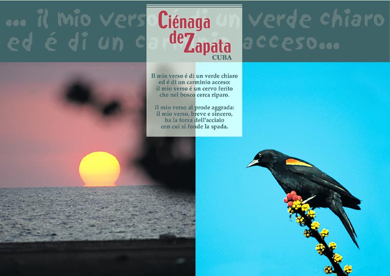 La Cienaga de Zapata - 7