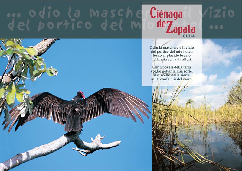 La Cienaga de Zapata - 8