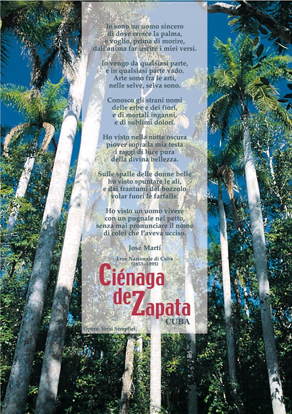 La Cienaga de Zapata - 10