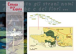 La Cienaga de Zapata - 2