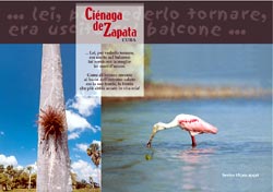 La Cienaga de Zapata  - 6