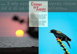 La Cienaga de Zapata - 7