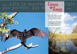 La Cienaga de Zapata - 8