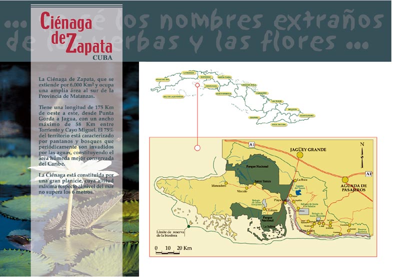 Cienaga de Zapata - 2