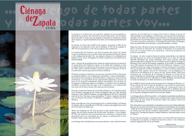 Cienaga de Zapata - 3