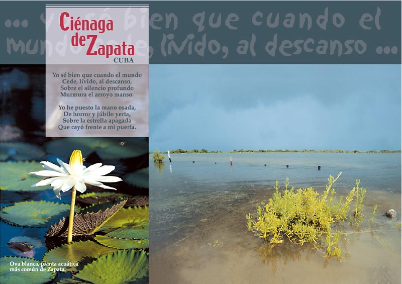 Cienaga de Zapata - 4