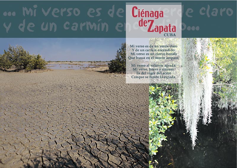 Cienaga de Zapata - 5