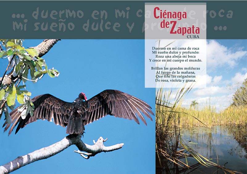 Cienaga de Zapata - 8