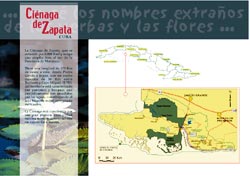 Cienaga de Zapata - 2