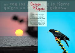 Cienaga de Zapata - 7