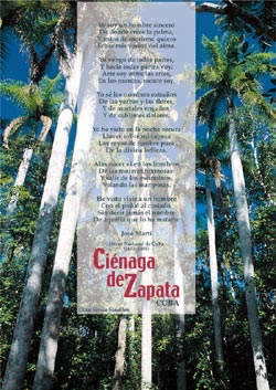 Cienaga de Zapata  - 10